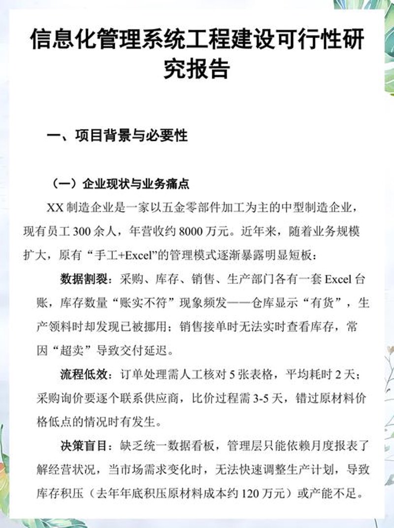 项目可行性报告